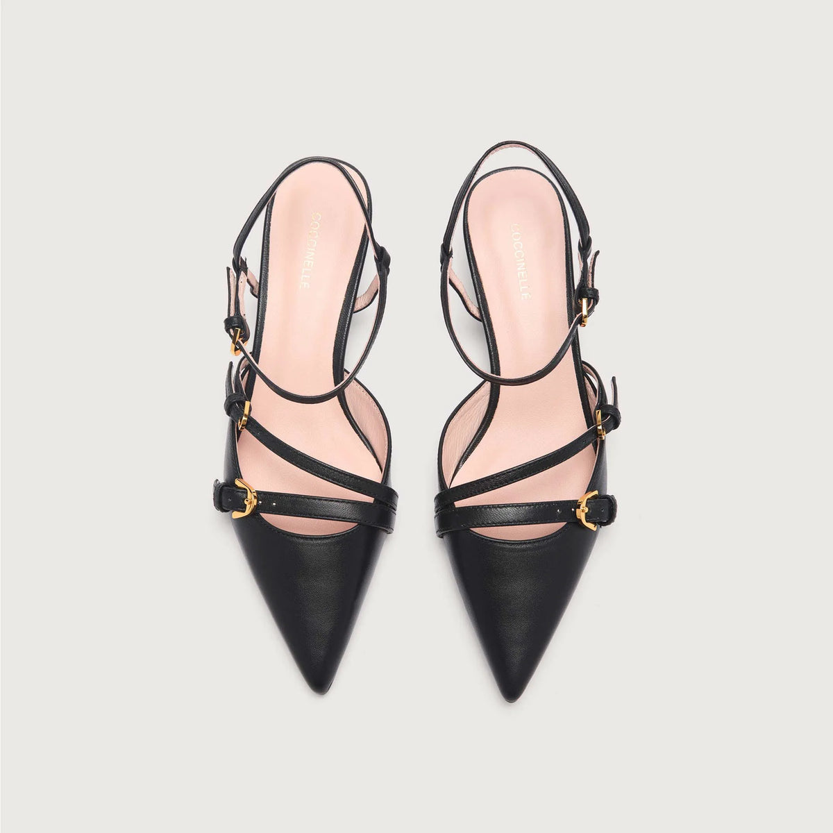 Coccinelle Fernanda noir