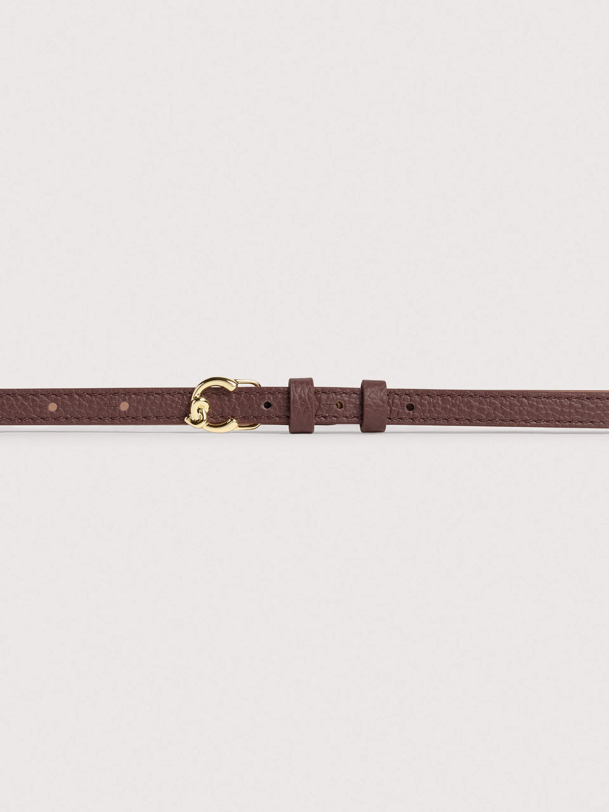Coccinelle C-Me purple