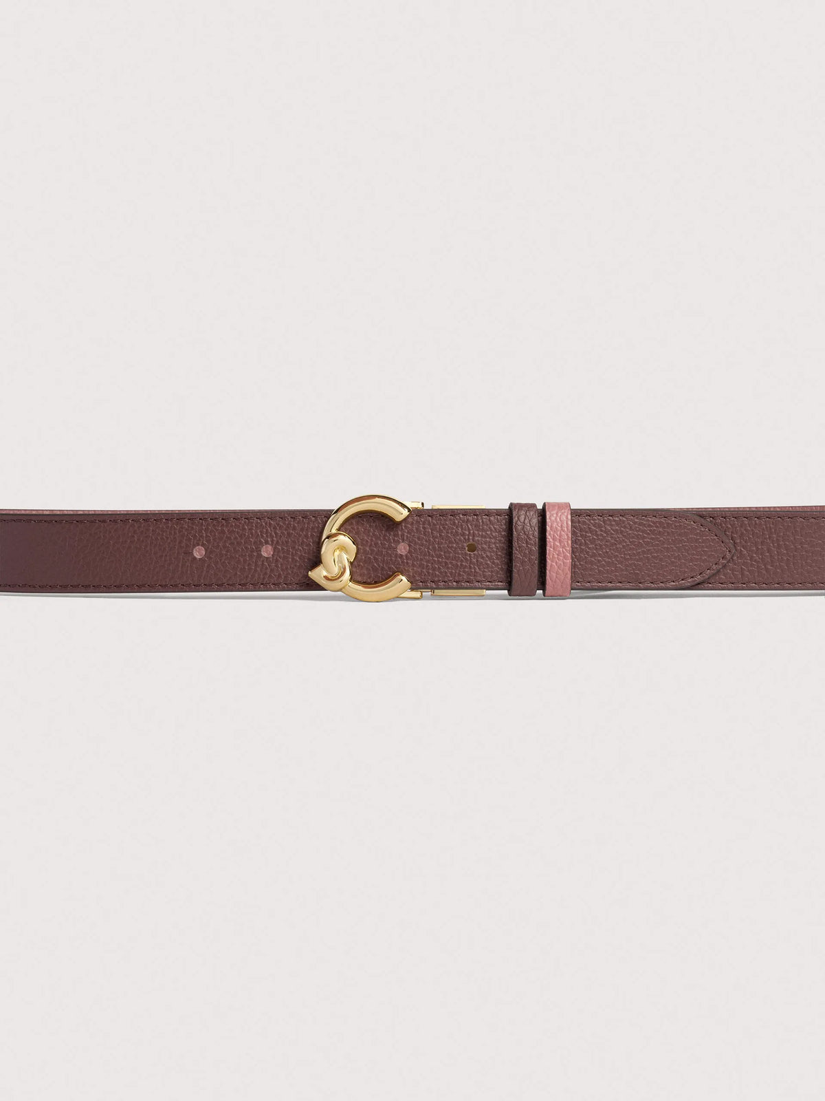 Coccinelle C-Me purple