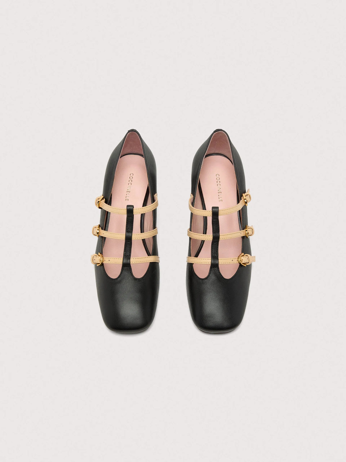 Coccinelle Sven noir