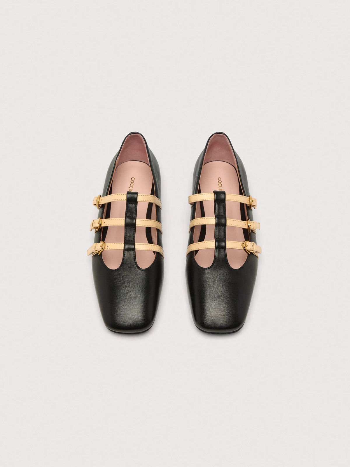 Coccinelle Sven noir