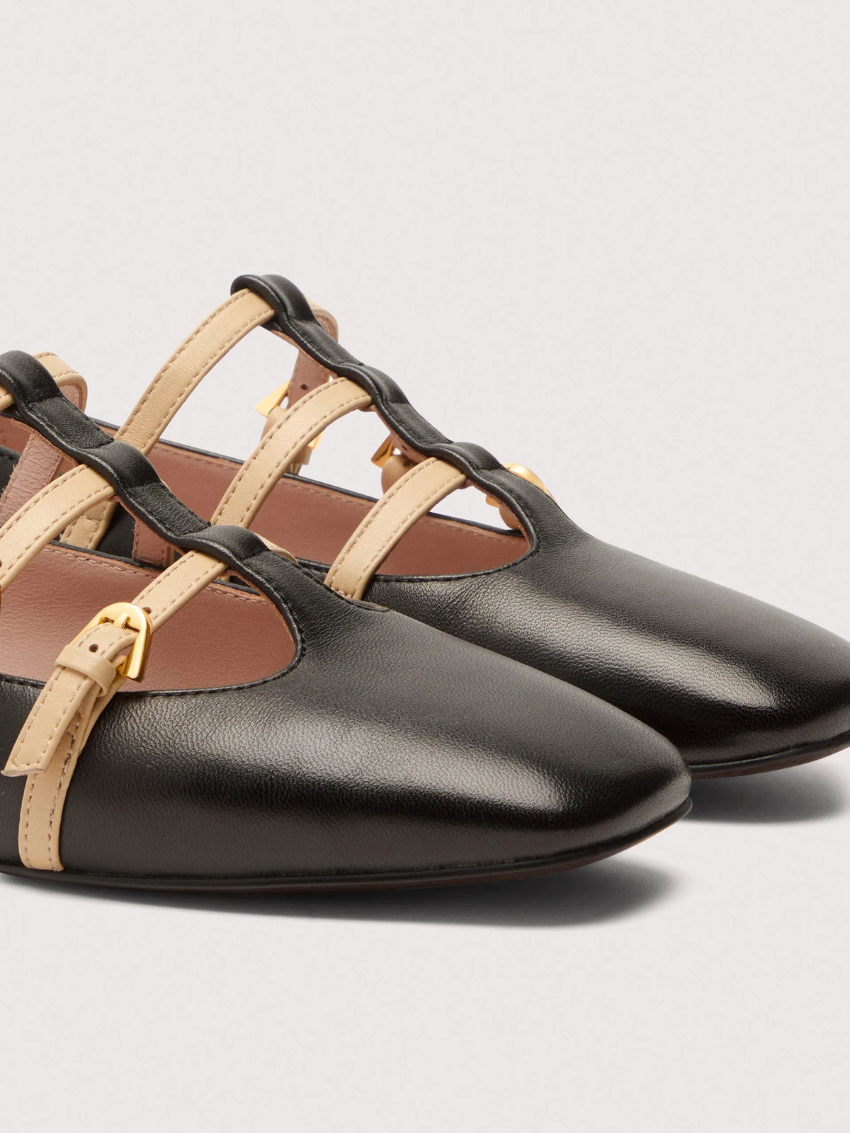 Coccinelle Sven noir