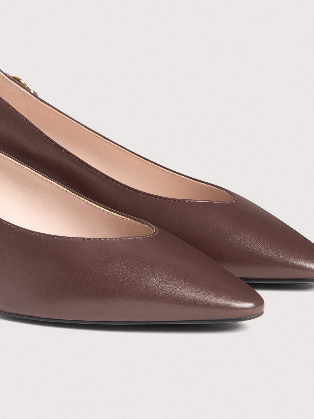 Coccinelle C-Look purple