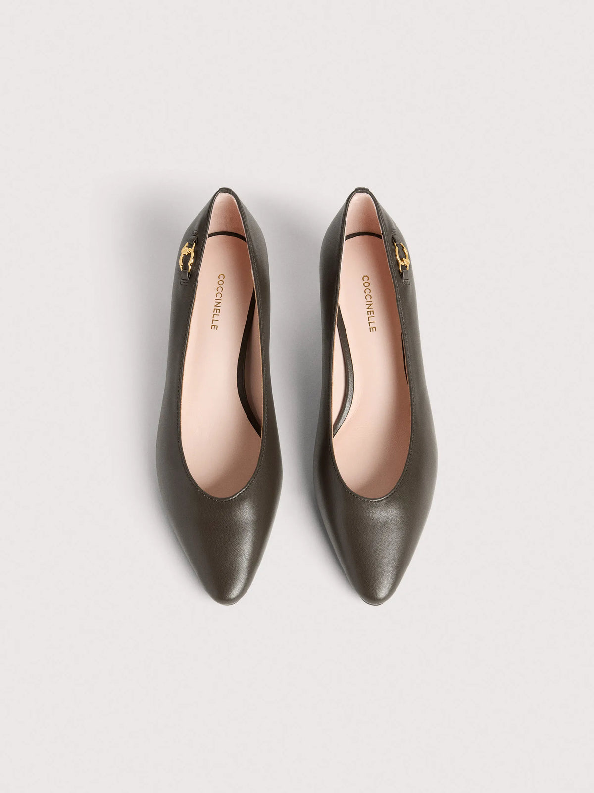 Coccinelle C-Look brown
