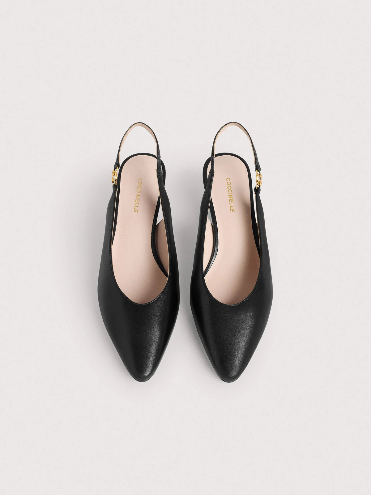 Coccinelle C-Look noir